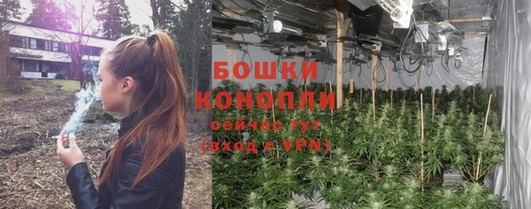 трава Нефтекумск