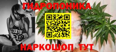 гидра Апшеронск