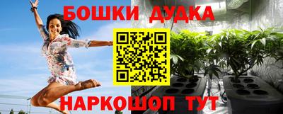 крисы Аргун