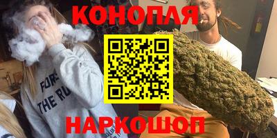 крисы Аргун
