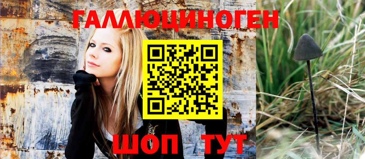 Псилоцибиновые грибы мухоморы Ивантеевка